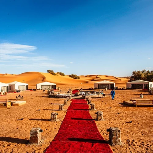 https://ouarzazatetour.com/