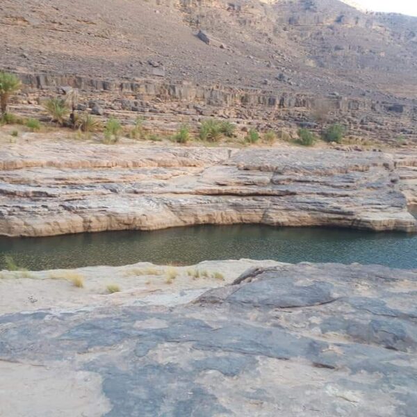 WhatsApp Image 2025-02-22 at 22.19.38_0c2aaeb6