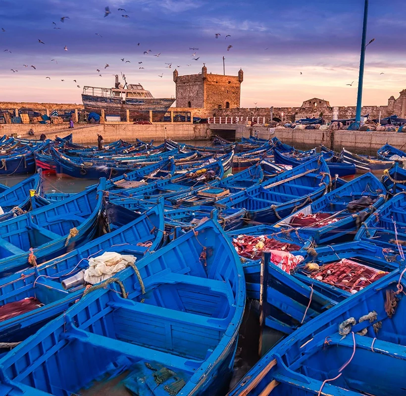 Essaouira Coastal Escape