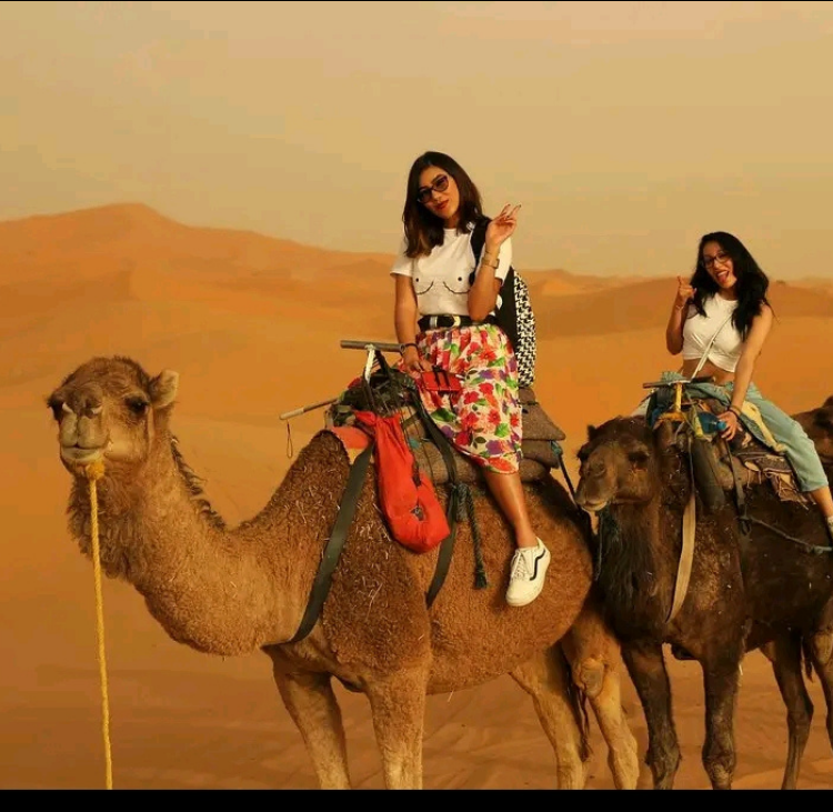 Camel Trek